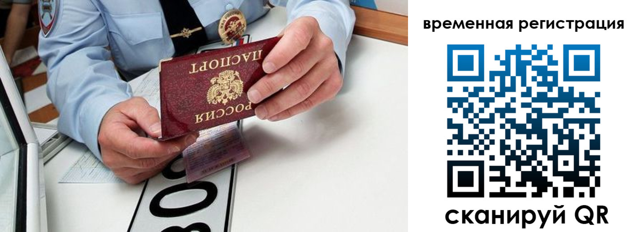 прописка поиск в Гатчине
